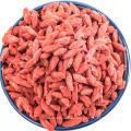 Ningxia fabrica bayas de Goji 20kg